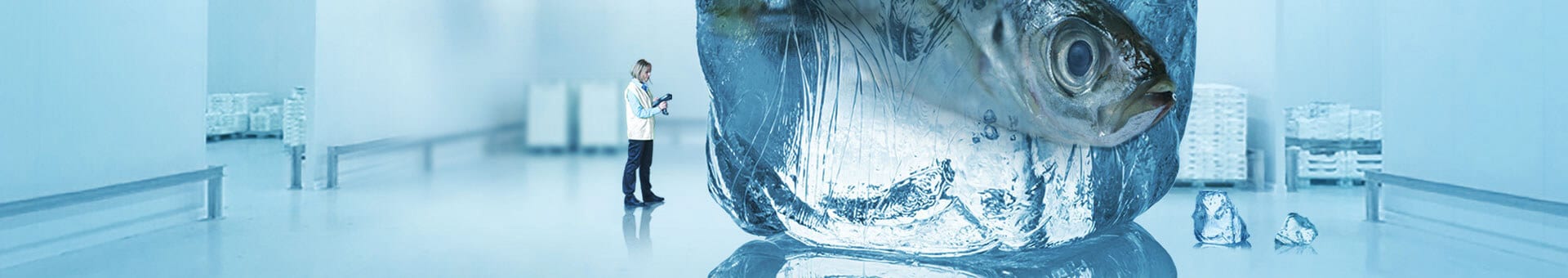 The banner of refrigerant product center